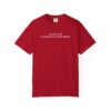 Auntie:Professional Nephew Spoiler T-Shirt